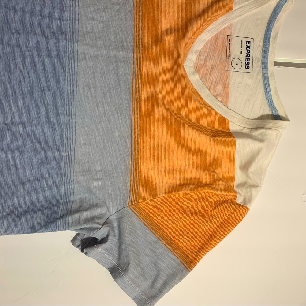 NWOT Exress men’s Lg. Tri-color v-neck